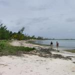 Combing the beach the next day for goodies